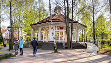 Rau&scaron;iai