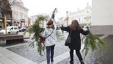 Kalėdinės eglių &scaron;akų dalybos