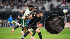 &bdquo;Corinthians&ldquo; ir &bdquo;Palmeiras&ldquo; rungtynėse į aik&scaron;tę skriejo kiaulės galva