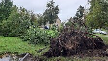 Vėtra vertė medžius su &scaron;aknimis