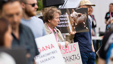 Nevyriausybinė gyvūnų apsaugos organizacija &bdquo;Tu&scaron;ti narvai&ldquo; surengė protestą prie Valstybinės maisto ir veterinarijos tarnybos 
