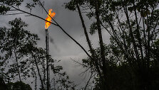 Kolumbija