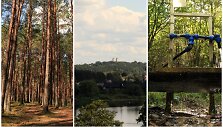 &Scaron;altinių takas