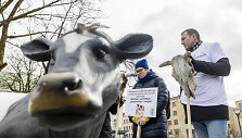 Prie Vyriausybės ūkininkų protestas dėl pieno supirkimo kainų