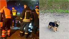 Garliavoje prokuroras i&scaron;gelbėjo dumble skendusio vyro gyvybę