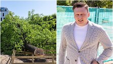 Valdas Benkunskas atvyko prie nupjauto &scaron;imtamečio ąžuolo Vilniuje