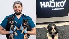 Veterinarijos gydytojas Vilius Urbonas / &bdquo;Hačiko&ldquo; klinika