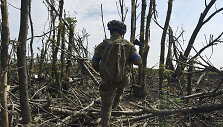 Ukrainos karys