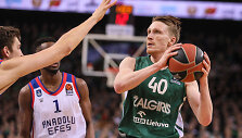 Marius Grigonis