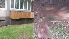 Vilniuje po balkonais rastos gyvūnų dalys