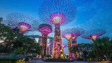 Singapūro sodai (Gardens by the Bay) 