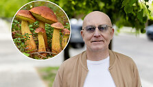 Valinsko delikatesas &ndash; grybų tra&scaron;kučiai, kurie nustebins visus