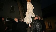 VU Istorijos fakulteto istorikų sugrįžtuvėse &bdquo;Historiada 2009&rdquo; atidarymo metu, VU Istorijos fakulteto M. Dauk&scaron;os kiemelyje, atidengta susimąsčiusio karžygio &ndash; &bdquo;Senolio&ldquo; skulptūra. Visų kartų apsolventai padovanojo fakultetui naują &bdquo;Simbolį&ldquo;  Prof. dr. Alfredo Bumblausko paveikslą.