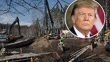 Donaldas Trumpas ir paie&scaron;kos darbai Pabradėje