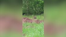 60d1b7354762bvideo_60d1b729398b3