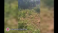 60ed2efac45e5video_60ed2ef73e556