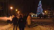 Visagino Kalėdų eglė