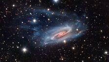 NGC 3981