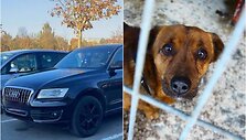 Prieglaudos &bdquo;Gyvūnų užuovėja&ldquo; įsigytas automobilis &bdquo;Audi Q5&ldquo;