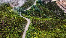 WRC organizatorių &bdquo;facebook&ldquo; puslapyje patalpinta nuotr.