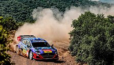 Akimirka i&scaron; Graikijos ralio. WRC organizatorių &bdquo;facebook&ldquo; puslapyje patalpinta nuotr.