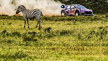 WRC Safari ralis Kenijoje. Organizatorių &bdquo;facebook&ldquo; paskyroje publikuota nuotr.