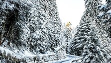 WRC organizatorių &bdquo;facebook&ldquo; puslapyje patalpinta nuotr.