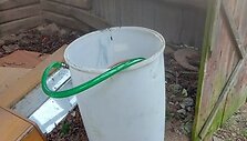 Rasta &bdquo;naminukė&ldquo;
