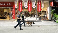 Užpuolimas restorane &bdquo;Grilintas Cinamonas&ldquo;