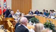 Seimo ir Pasaulio lietuvių komisijos posėdis