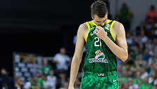 Pasaulio krep&scaron;inio čempionato atrankos rungtynės: Lietuva - Čekija