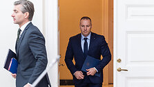 Kęstutis Budrys, Linas Pernavas