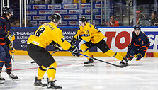 Ledo ritulio rungtynės: Lietuva &ndash; Nyderlandai
