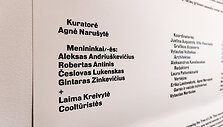 Radvilų rūmų dailės muziejuje atidaryta paroda &bdquo;Post Ars. Sankrova&ldquo;