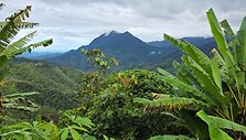 Kinabalu kalnas, Borneo, Malaizija