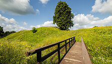 &bdquo;Baltų kelias&ldquo;