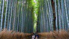 Japonija
