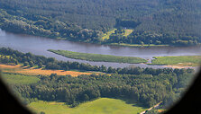 Pociūnai