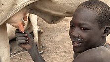 Mundari gentis, Pietų Sudanas