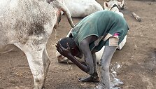 Mundari gentis, Pietų Sudanas