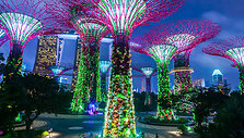 Singapūro sodai (Gardens by the Bay) 