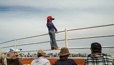 Rodeo Vait Klifse, Pietų Australija