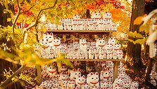 &bdquo;Gotokuji&ldquo; &scaron;ventykla, Japonija