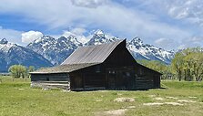 Labiausiai fotografuojamas kluonas planetoje