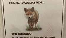 Tores del Painės nacionalinis parkas Patagonijoje, Čilėje