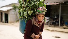 Vietnamas