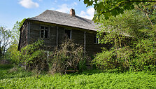 Mažaičių dvaro rūmai (Radvili&scaron;kio r.)