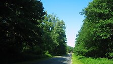 Kelias rusų Kur&scaron;ių nerijoje