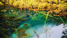 Dziudžaigou (Jiuzhaigou) nacionalinis parkas Kinijoje