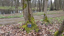 Elfų kaimelis
